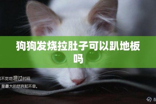 狗狗發燒拉肚子可以趴地板嗎