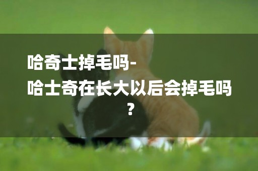 哈奇士掉毛嗎-
哈士奇在長大以后會掉毛嗎？