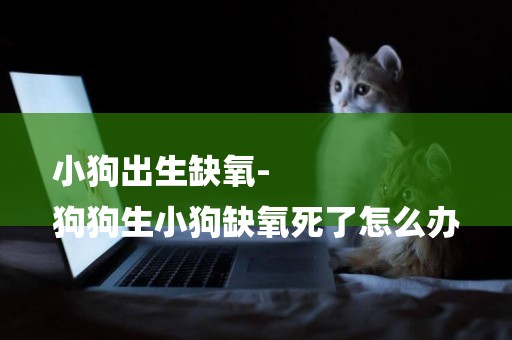 小狗出生缺氧-
狗狗生小狗缺氧死了怎么辦
