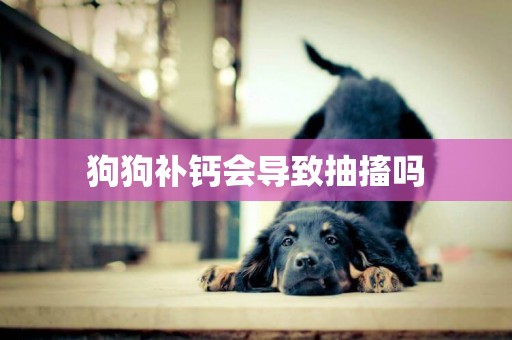 狗狗補鈣會導致抽搐嗎