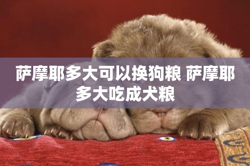 薩摩耶多大可以換狗糧 薩摩耶多大吃成犬糧