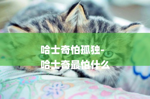 哈士奇怕孤獨-
哈士奇最怕什么