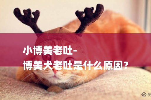 小博美老吐-
博美犬老吐是什么原因？