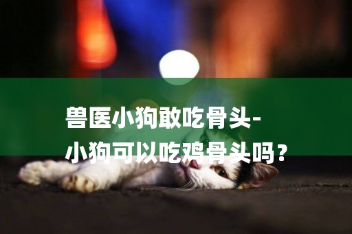 獸醫小狗敢吃骨頭-
小狗可以吃雞骨頭嗎？
