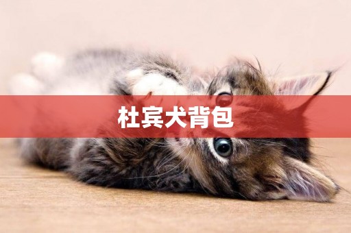 杜賓犬背包