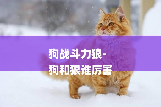 狗戰斗力狼-
狗和狼誰厲害