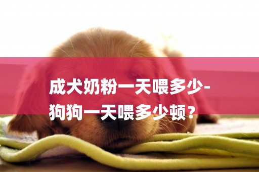 成犬奶粉一天喂多少-
狗狗一天喂多少頓？