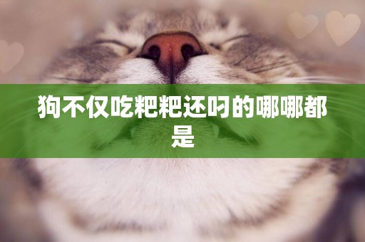 狗不僅吃粑粑還叼的哪哪都是