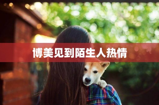 博美見到陌生人熱情