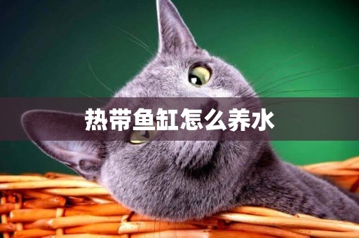熱帶魚缸怎么養水