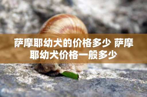 薩摩耶幼犬的價格多少 薩摩耶幼犬價格一般多少
