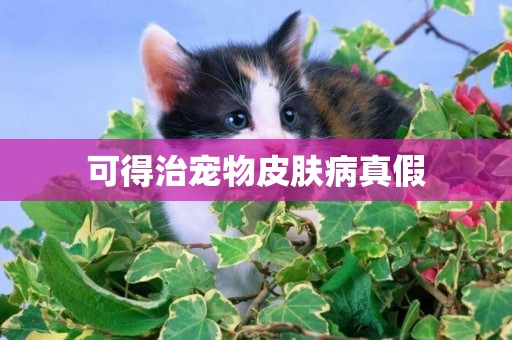 可得治寵物皮膚病真假