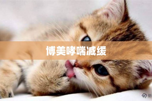 博美哮喘減緩