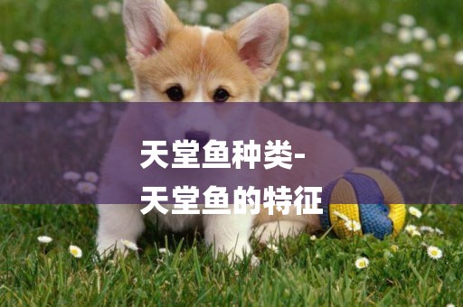 天堂魚種類-
天堂魚的特征