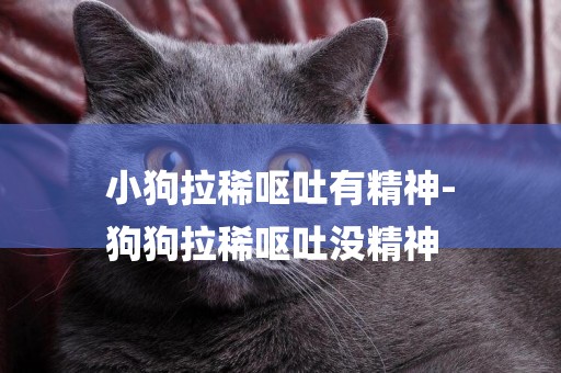 小狗拉稀嘔吐有精神-
狗狗拉稀嘔吐沒精神