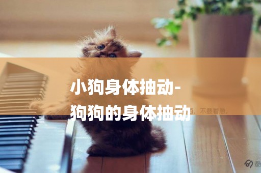 小狗身體抽動-
狗狗的身體抽動