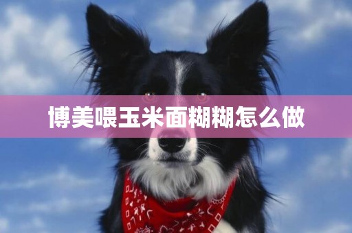 博美喂玉米面糊糊怎么做