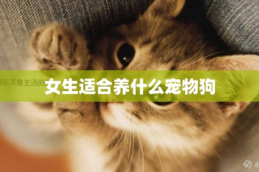 女生適合養什么寵物狗