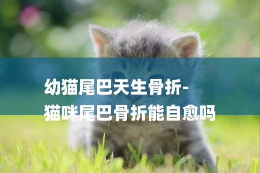 幼貓尾巴天生骨折-
貓咪尾巴骨折能自愈嗎