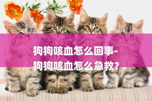 狗狗咳血怎么回事-
狗狗咳血怎么急救？