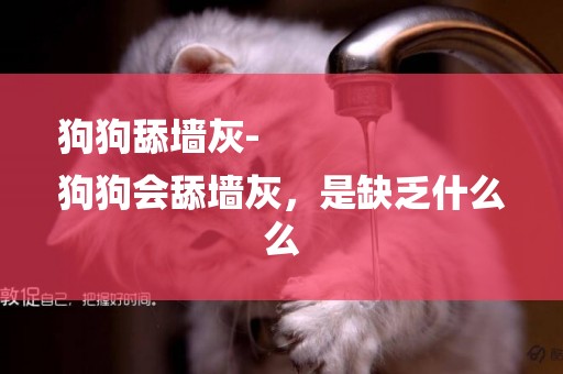 狗狗舔墻灰-
狗狗會舔墻灰，是缺乏什么么