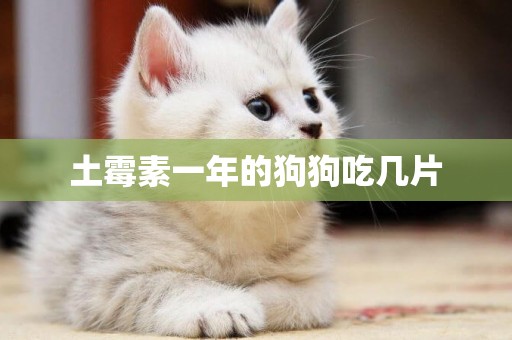 土霉素一年的狗狗吃幾片
