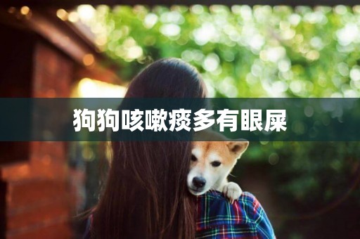 狗狗咳嗽痰多有眼屎