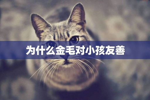 為什么金毛對小孩友善