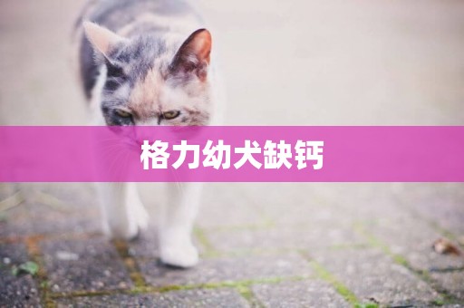 格力幼犬缺鈣
