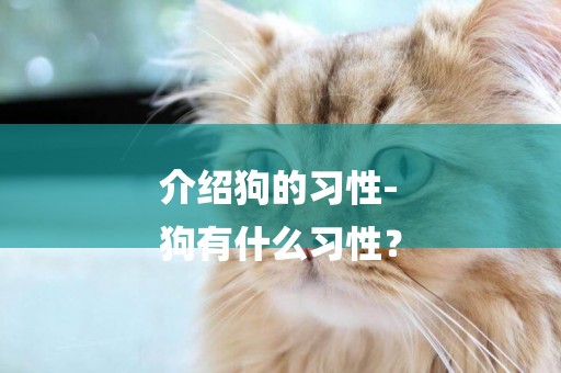 介紹狗的習性-
狗有什么習性？