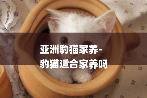 亞洲豹貓家養-
豹貓適合家養嗎