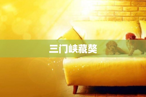 三門峽藏獒