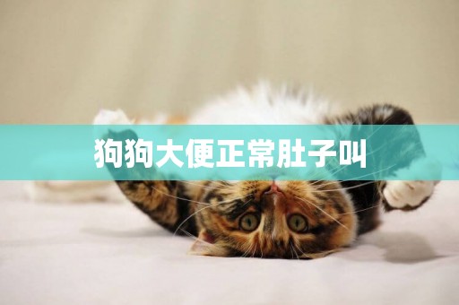 狗狗大便正常肚子叫