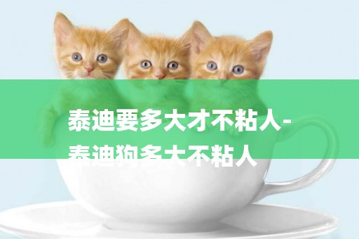泰迪要多大才不粘人-
泰迪狗多大不粘人