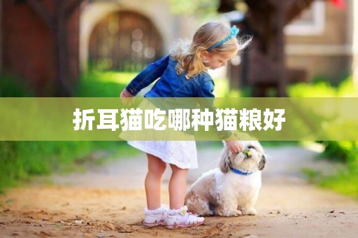 折耳貓吃哪種貓糧好