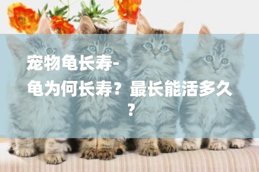 寵物龜長壽-
龜為何長壽？最長能活多久？