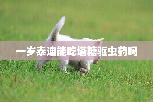 一歲泰迪能吃塔糖驅蟲藥嗎