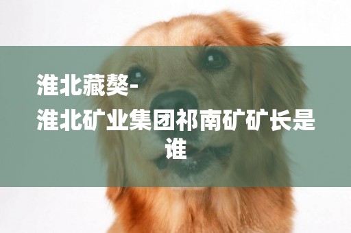 淮北藏獒-
淮北礦業集團祁南礦礦長是誰