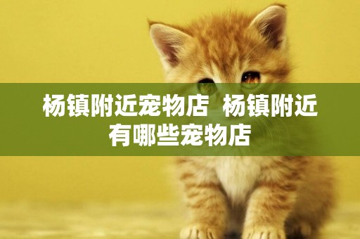 楊鎮附近寵物店  楊鎮附近有哪些寵物店