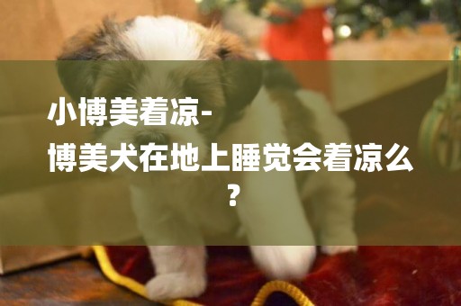 小博美著涼-
博美犬在地上睡覺會著涼么？