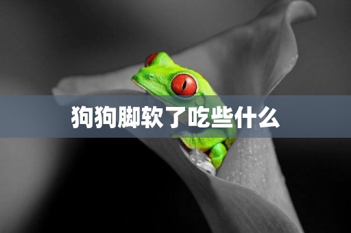 狗狗腳軟了吃些什么