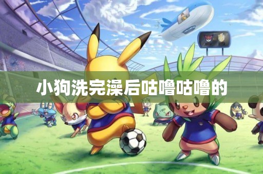 小狗洗完澡后咕嚕咕嚕的