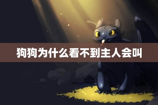 狗狗為什么看不到主人會叫