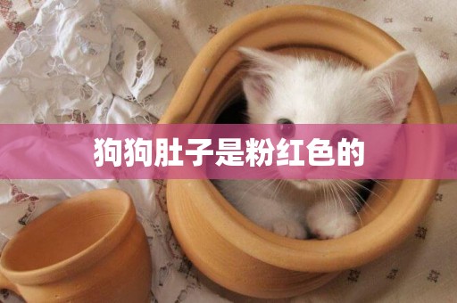 狗狗肚子是粉紅色的