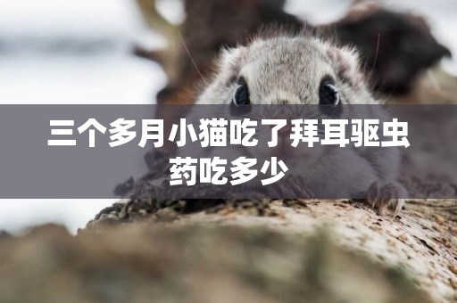 三個多月小貓吃了拜耳驅蟲藥吃多少