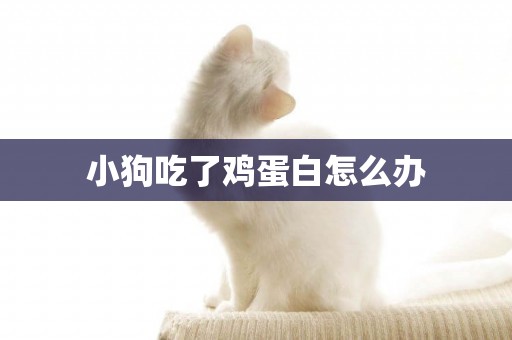 小狗吃了雞蛋白怎么辦