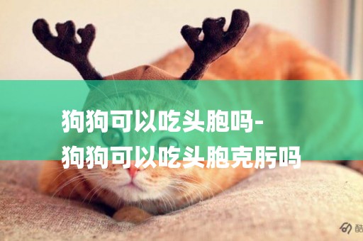 狗狗可以吃頭胞嗎-
狗狗可以吃頭胞克肟嗎