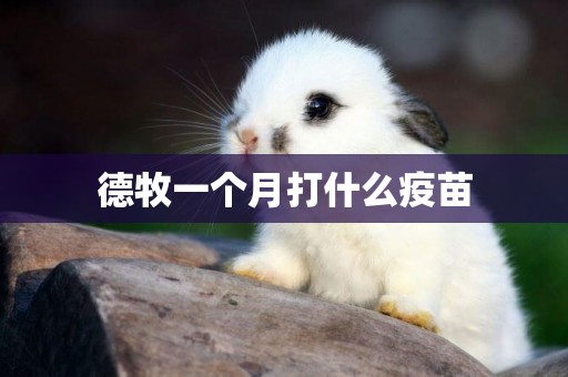 德牧一個月打什么疫苗