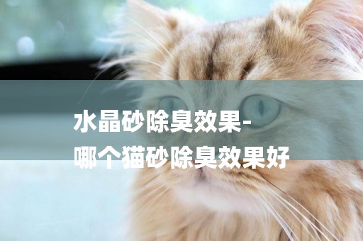 水晶砂除臭效果-
哪個貓砂除臭效果好