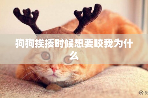 狗狗挨揍時候想要咬我為什么